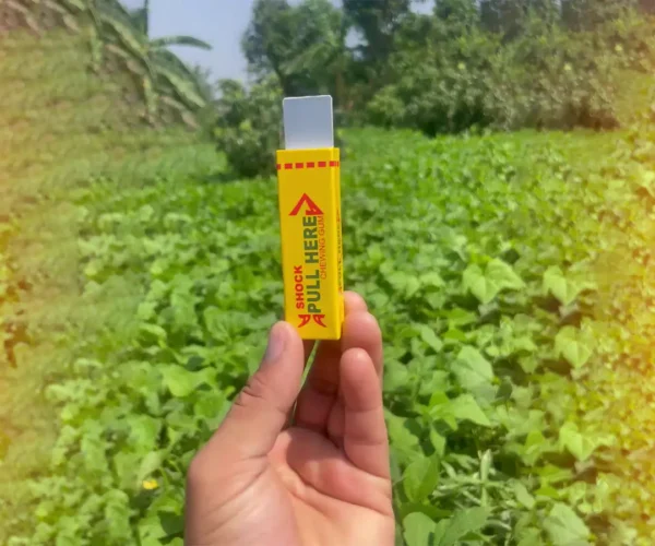 Electric shock chewing gum for fun