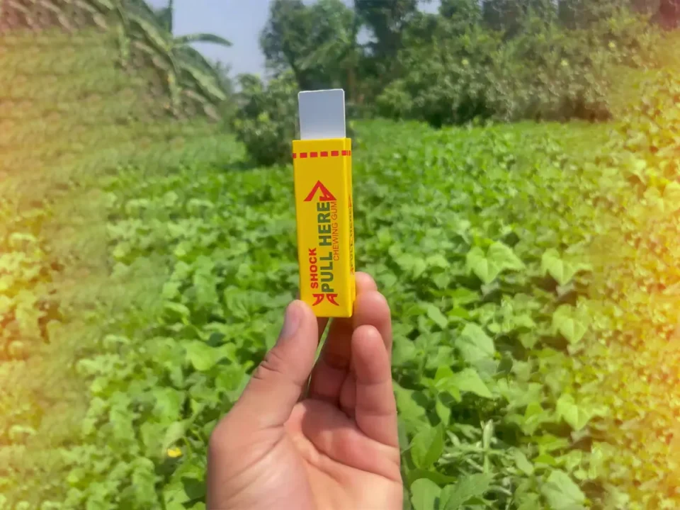 Electric shock chewing gum for fun